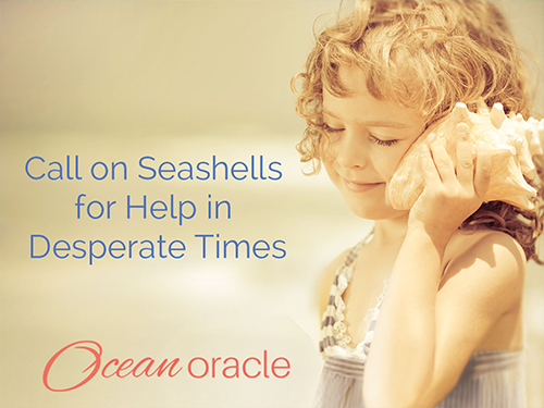 Call on Seashells for Help in Desperate Times