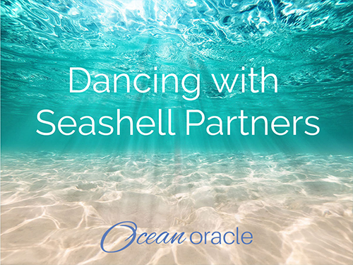 Dancing with Seashell Partners