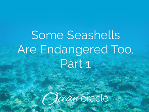 Some Seashells Are Endangered Too, Part 1